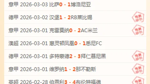 里昂杯赛对决：狂风暴雨还是默契收场？